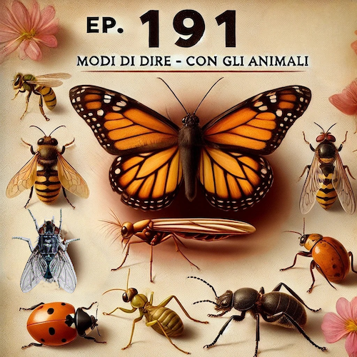Ep. 191 - Modi di dire